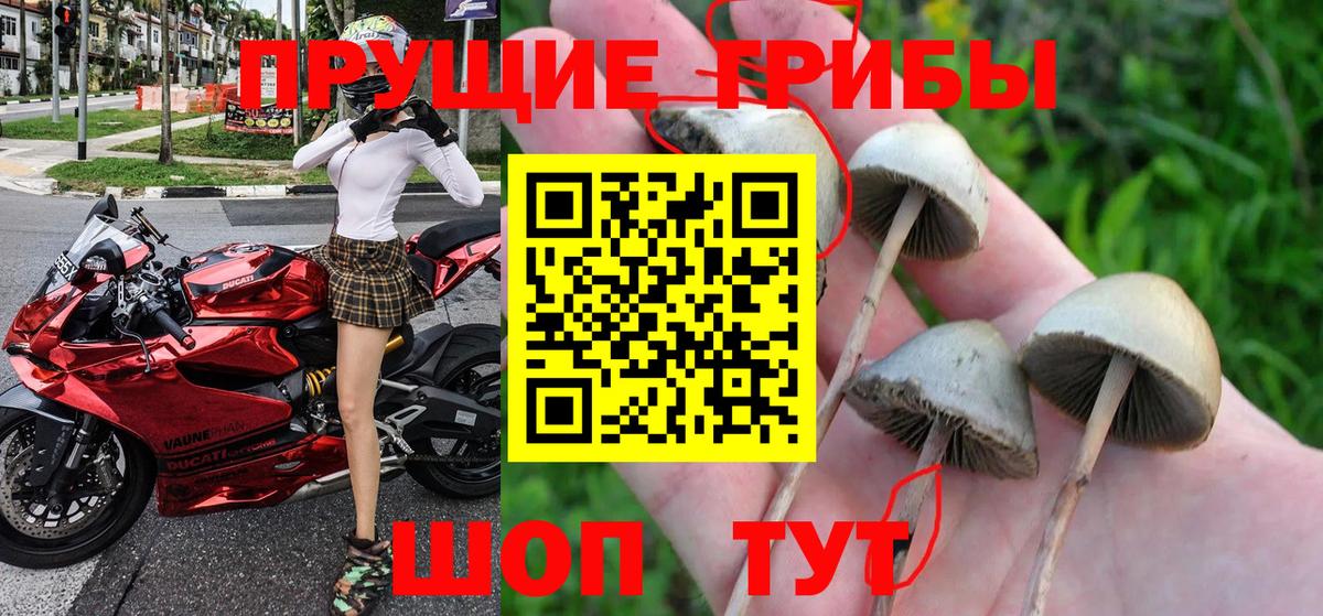 Галлюциногенные грибы Psilocybine cubensis  Псилоцибиновые грибы Magic Shrooms  Павловский Посад  Вход с VPN 