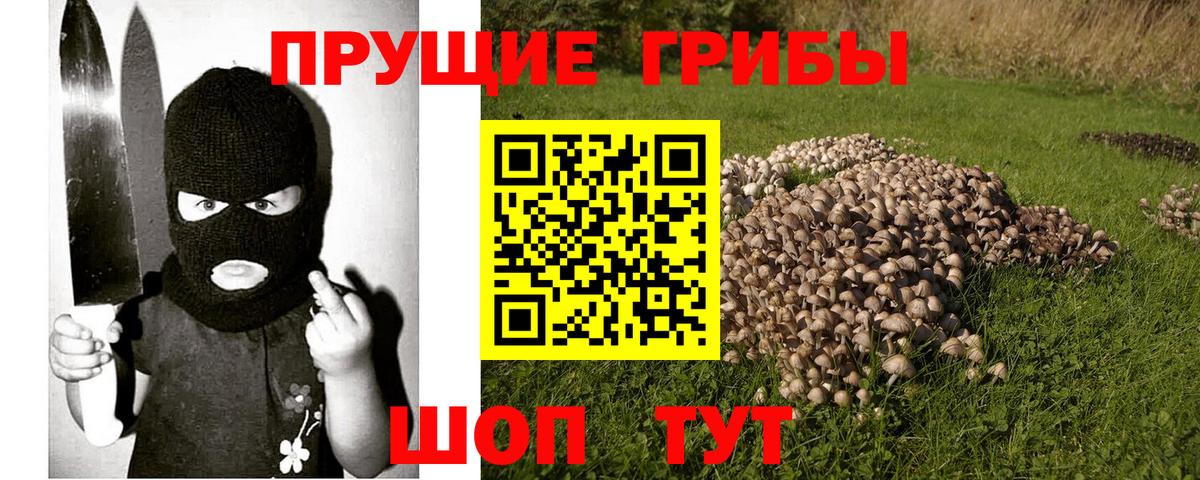 Псилоцибиновые грибы MAGIC MUSHROOMS Павловский Посад
